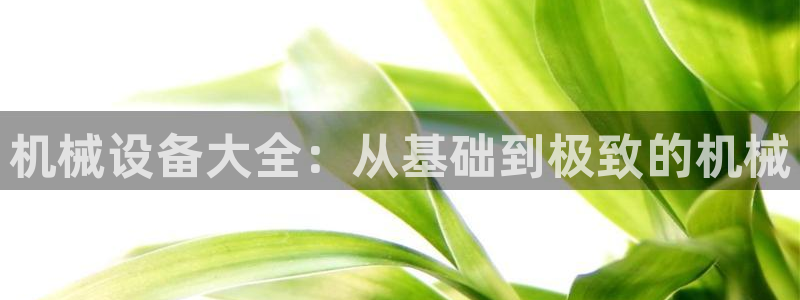 球盟会手机网页版