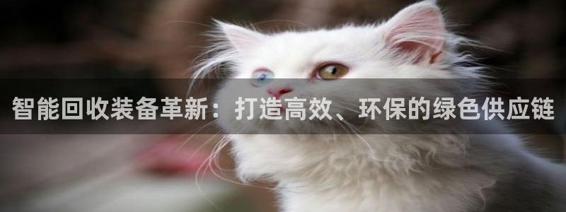 球盟会qmh电子网页版登录