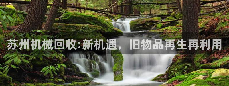 球盟会综合app下载