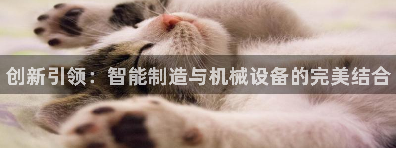 球盟会手机网页版