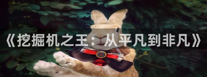 球盟会进不去吗