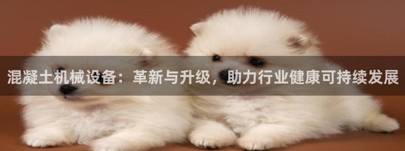 球盟会进不去吗