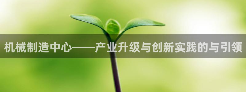 球盟会官方网址入口