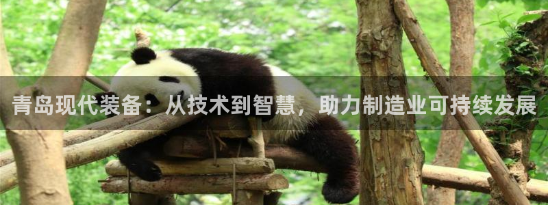 球盟会唯一
