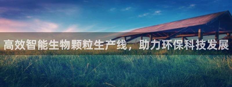 球盟会进不去