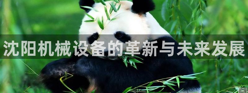 球盟会网页登录app下载地址