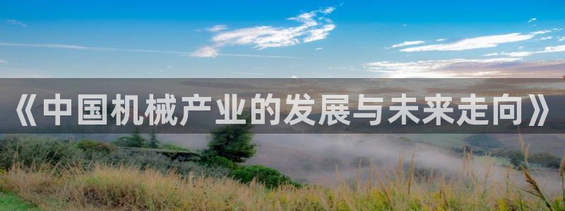 球盟会头号玩家是谁