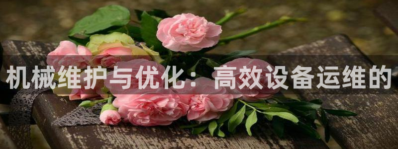 球盟会体育平台