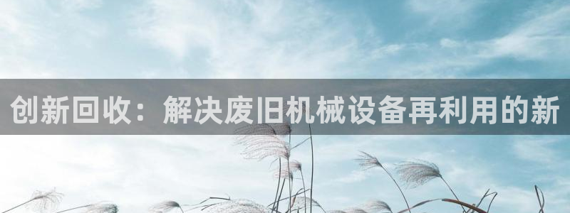 球盟会黑
