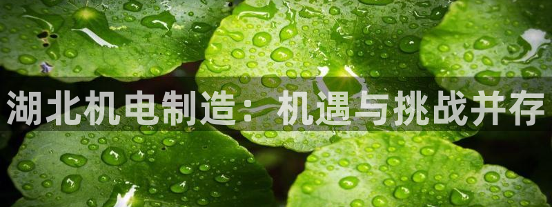 球盟会进不去吗