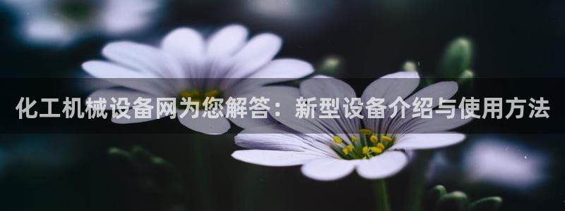球盟会可靠不