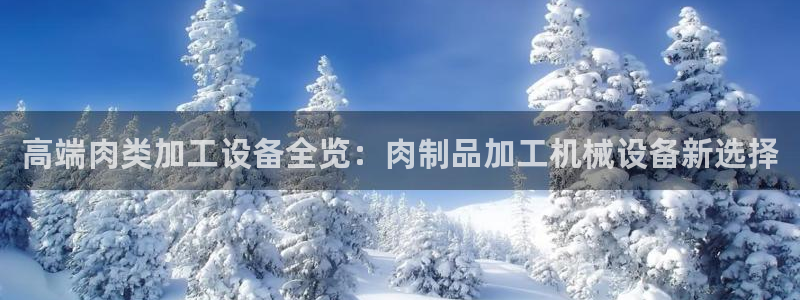 球盟会连接