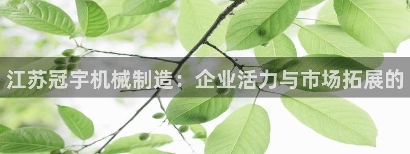 球盟会下款快吗