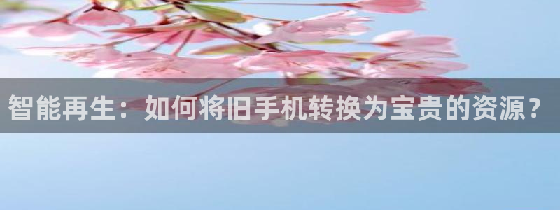 球盟会黑平台