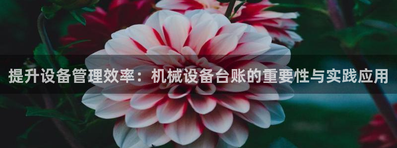 球盟会官方入口