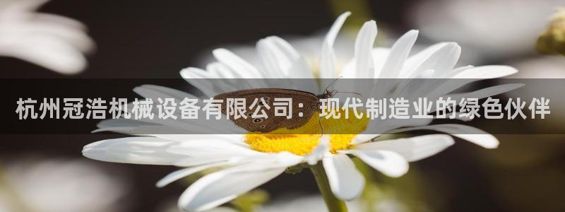 球盟会和中欧会的区别