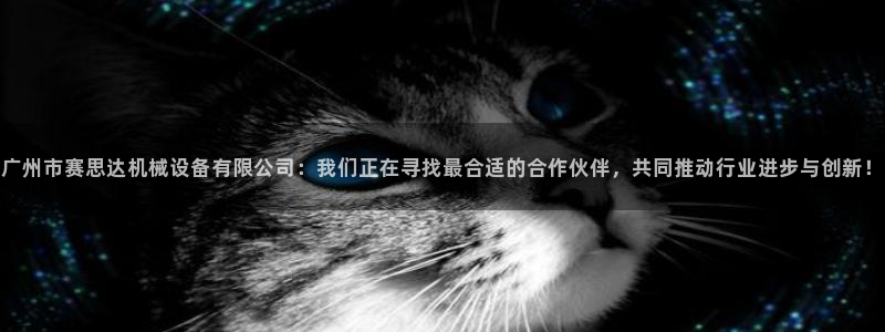 球盟会网页登录app下载地址