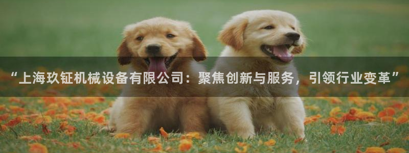 球盟会APP下载