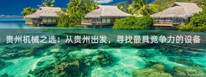 球盟会qm9