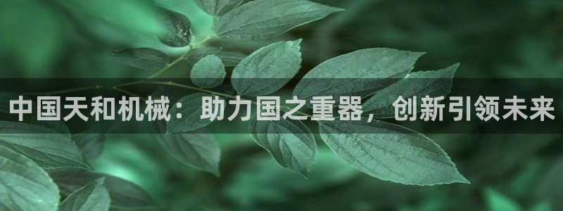 球盟会APP官网