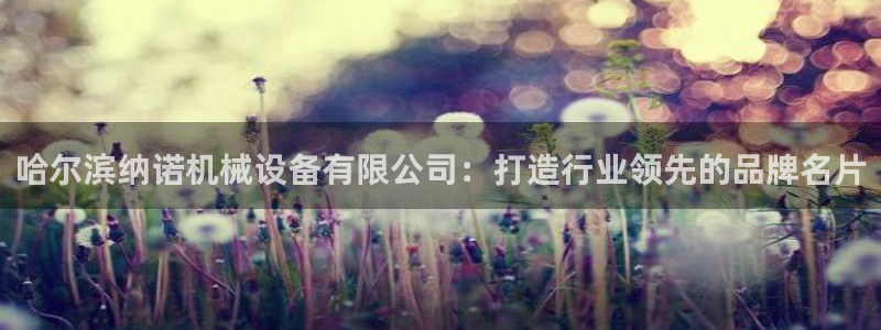 球盟会进不去球员吗