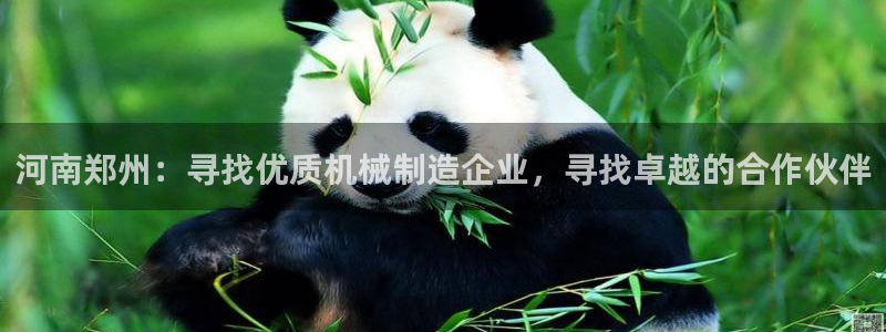 球盟会官方网站是什么
