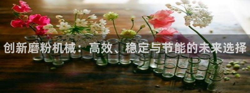 球盟会进不去吗