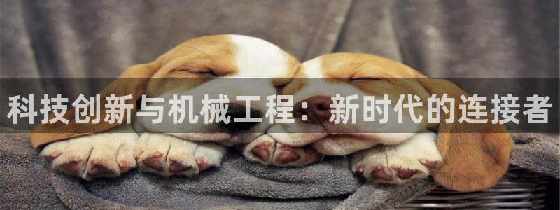 球盟会官方客服