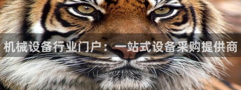 球盟会官方