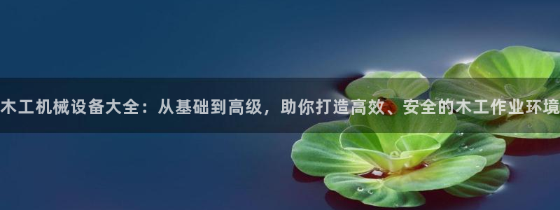 球盟会黑钱