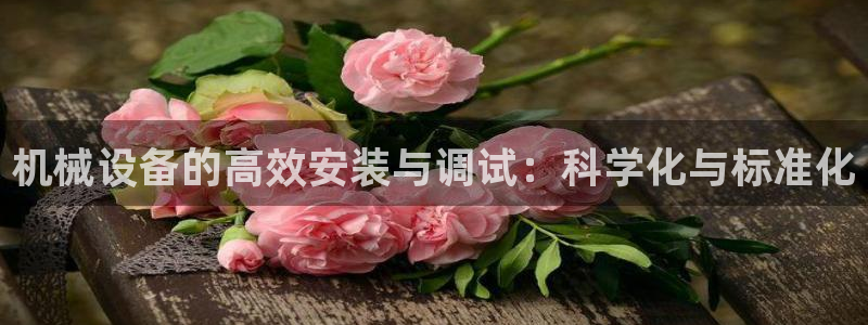 球盟会有没有黑单的活动