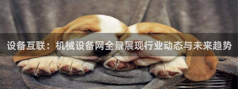球盟会app最新地址下载