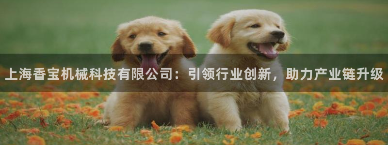 球盟会封号