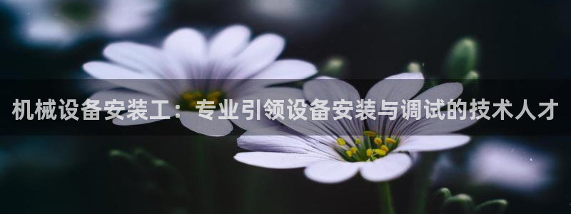 球盟会下款快吗