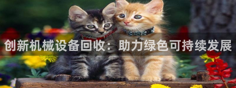 球盟会app最新地址在哪看