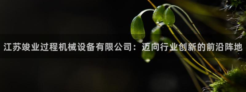 球盟会登陆