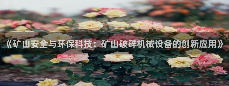 球盟会qmh - 球盟会官方网站