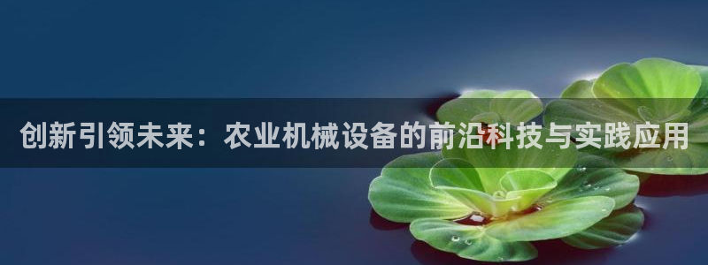 球盟会可以提现么现在