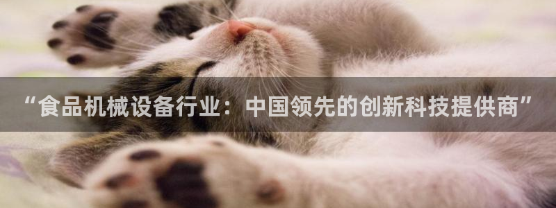 球盟会手机网页版