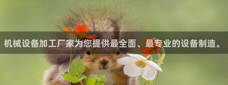 球盟会App