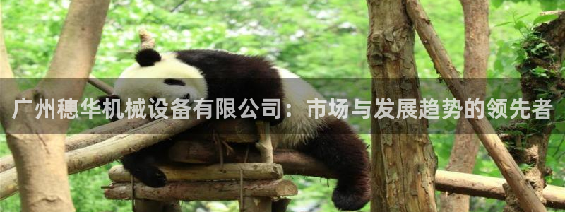 球盟会最新活动