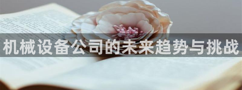 球盟会几点玩合适