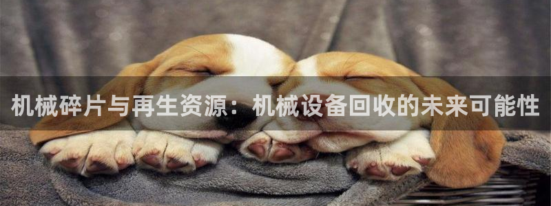 球盟会官方网入口