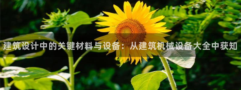 球盟会官方网站是什么