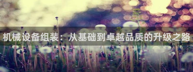 球盟会进不去吗