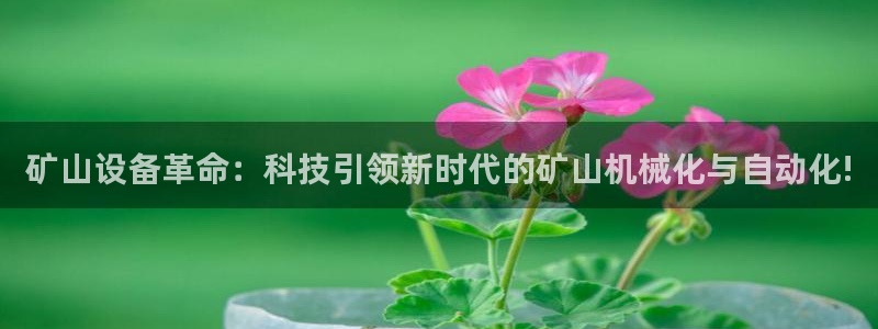球盟会qmh官网