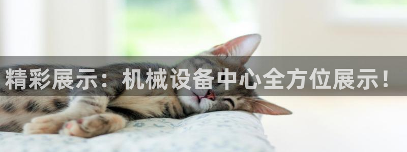 球盟会qm