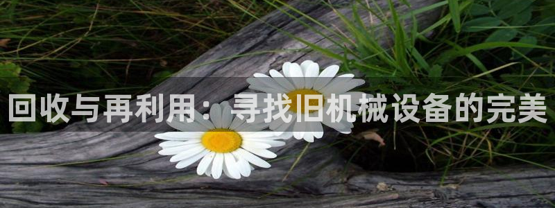 球盟会在线登入