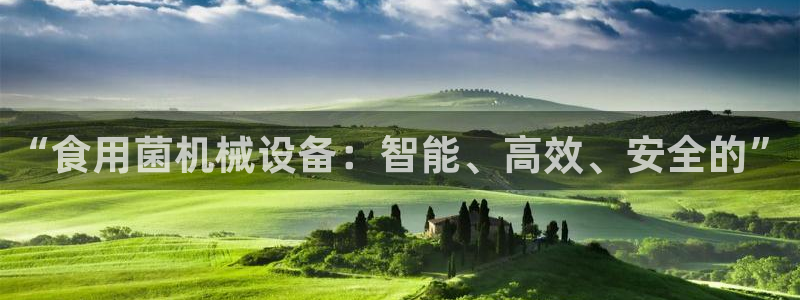 球盟会几点玩合适