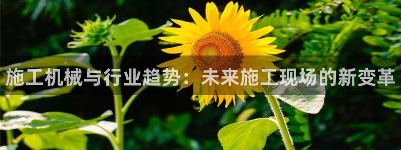 球盟会黑款吗知乎